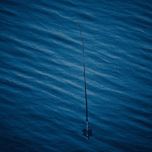 Can You Go Fishing In Deep Water: Tips And Techniques For Deep-Sea Anglers
