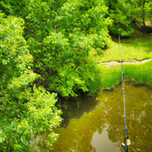 Can You Go Fishing In Weedy Areas: Tips And Techniques For Weed-Filled Fishing Spots