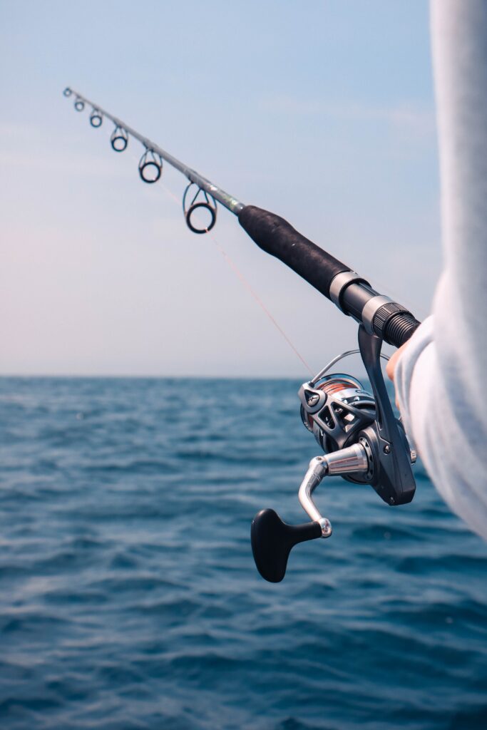 From Novice To Pro: Charting Your Growth In The Fishing World